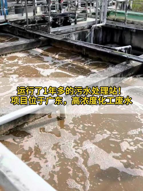 运行一年后的污水处理站 回顾、挑战与展望